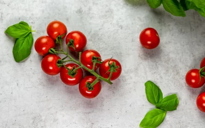 אוכל בריא בקייטרינג מוסדי: מיתוסים מול מציאות